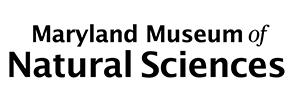 Maryland Museum of Natural Sciences