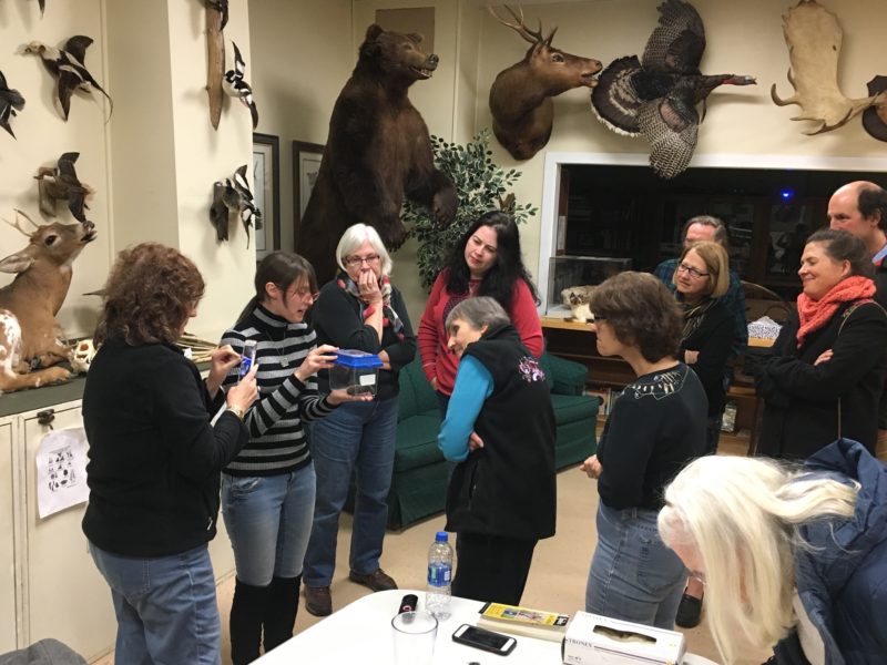 Jane Marlow shows off tarantula to group of onlookers