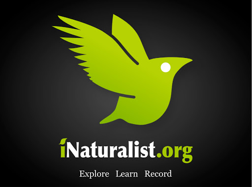 ...iNaturalist is a social networking service of naturalists, citizen scien...
