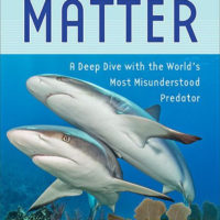 Why Sharks Matter book cover