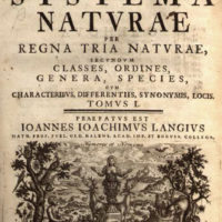 linnaeus book