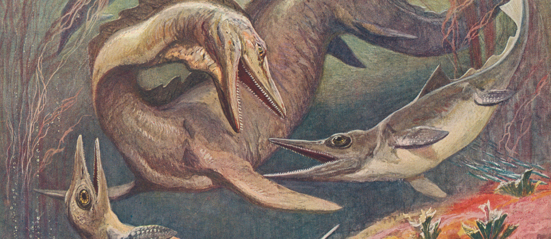 Ихтиозавр первичноводное. Ихтиозавры Юрского периода. Морские динозавры Ихтиозавр. Ихтиозавр и Плезиозавр. Ящер Ихтиозавр.