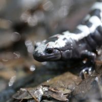 16-IMG_6770