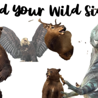 feed your wild side