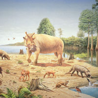 eocene1
