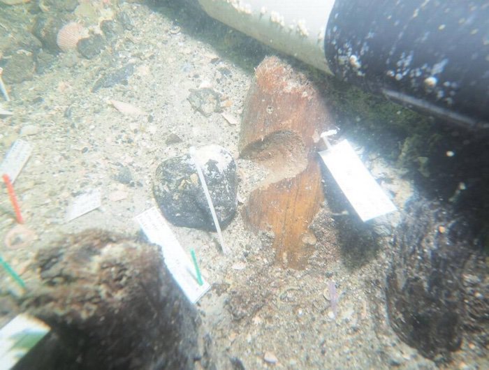 underwater artifacts