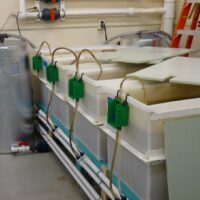 Hatchery3