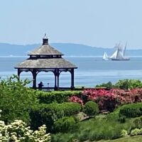 swanharbor