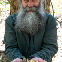 Morels-Nick-Handfull-457×754
