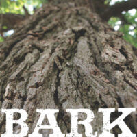 Wojtech_Bark_cover-474×754
