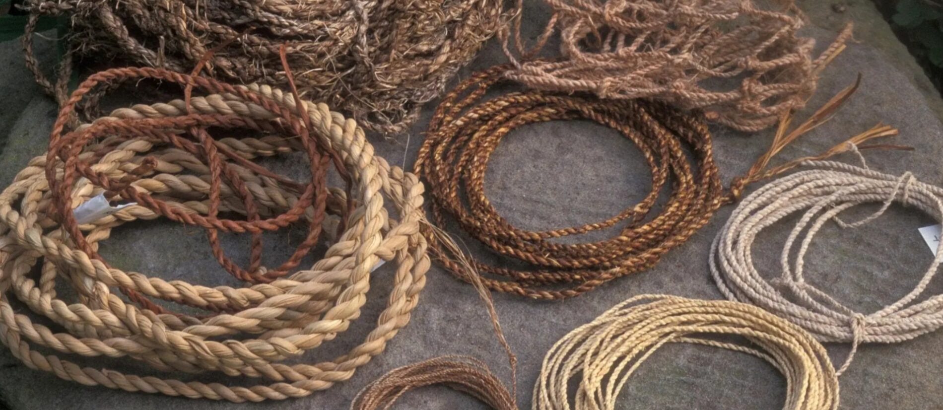 Making Cordage: Primitive Tech with Nick Spero – Natural History Society of  Maryland