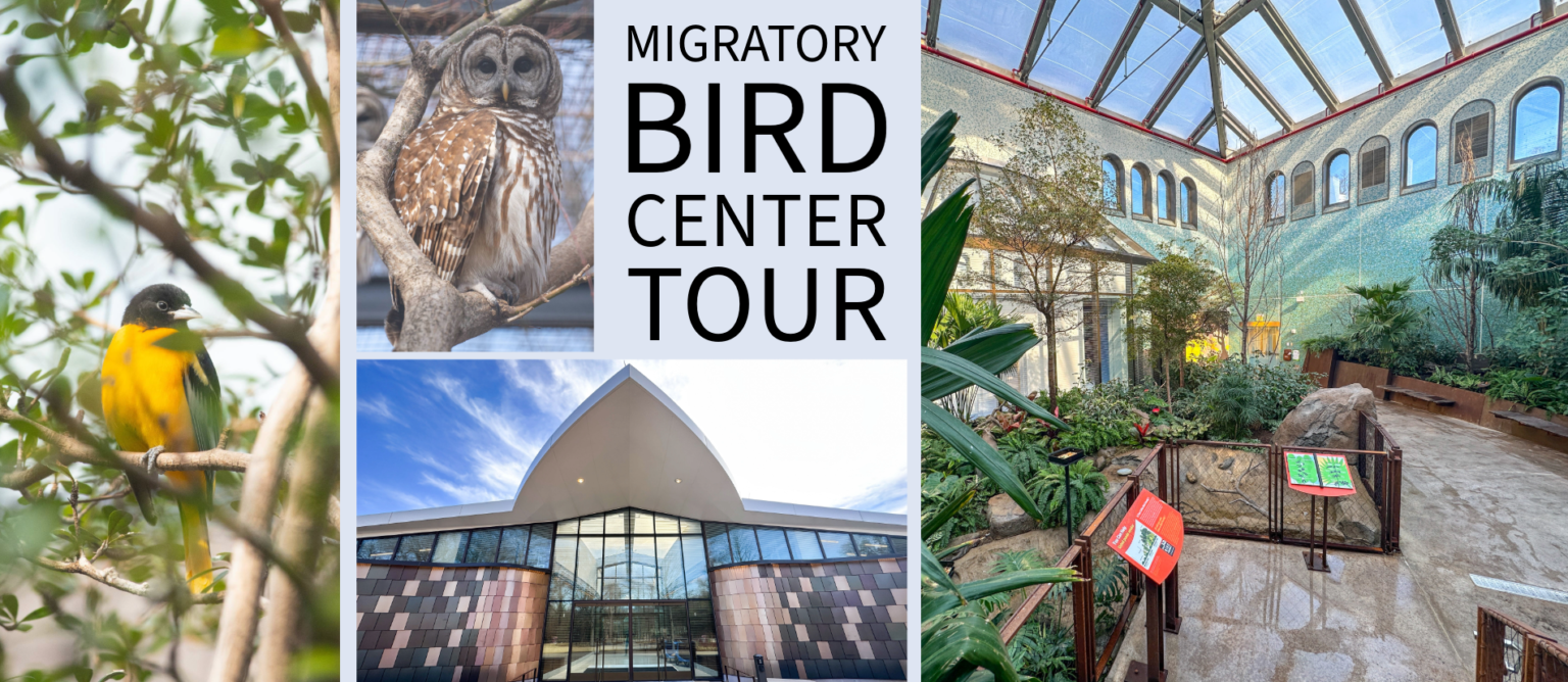 Migratory Bird Center Tour at the National Zoo: PM SESSION – Natural ...