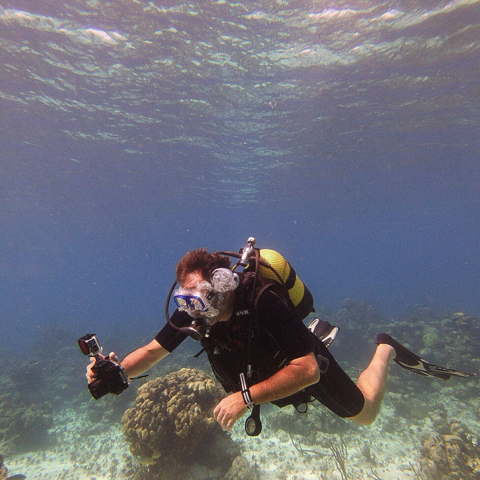 Nature Connections: Corals – Natural History Society of Maryland