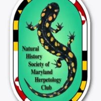 herp club decal